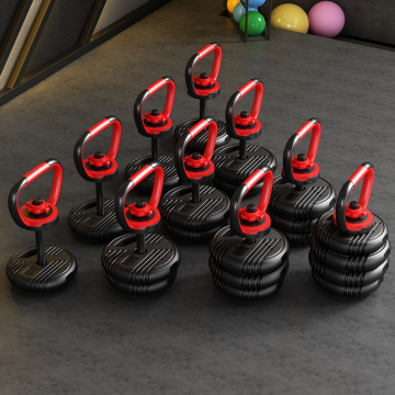 Top Sales 40 Kg / 88.18 lb Home Gym Dumbbell Set: Premium Cement Material