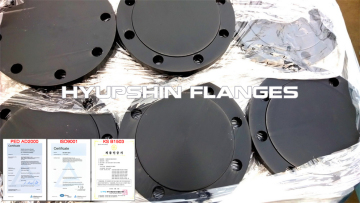 Raised Face Blind DIN2527 BLRF Flansch