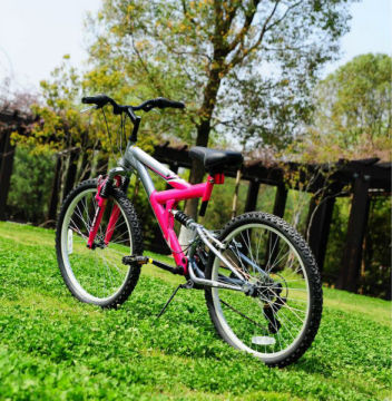 GS2418 variable speed mountain bike