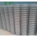 Galvanized Welded Wire Mesh