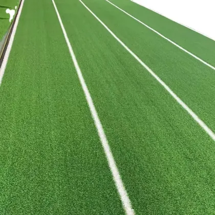 Customizable Artificial Grass Sport Flooring for Gyms and Fields