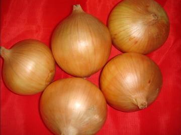 2014 Yellow Onions