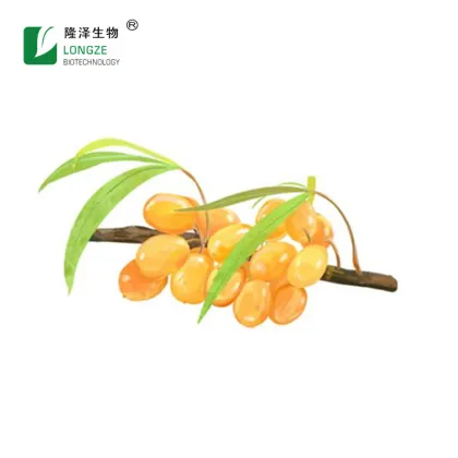 Sea Buckthorn Berry Extract Sea buckthorn fruit powder