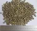grãos de café verde arábica grau de exportação