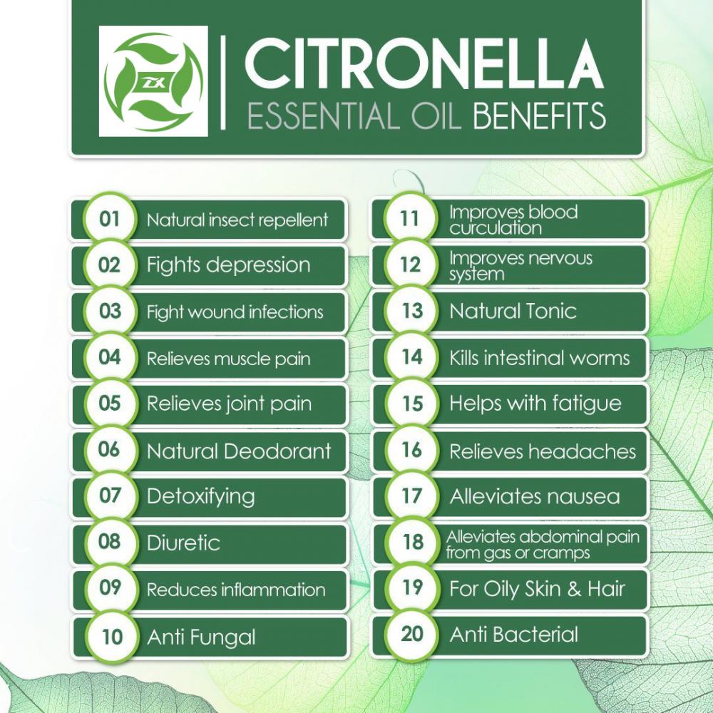 100 ٪ الصف العلاجي الصف Citronella من الضروري النفط