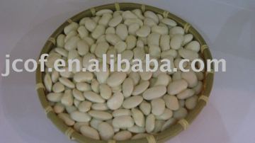 large white kidney beans(655)