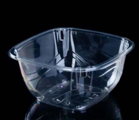 Plastic tray for fresh fruit