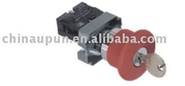 Pushbutton switches