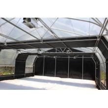 Blackout Privation Greenhouse Lightdep Greenhouse