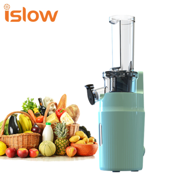 Factory Supply Extractor Pineapple Ginger Slow Juicer Machine SJ-019