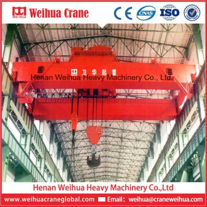 Anti-Sway Crane From Weihua