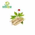 Antioxidans Ginseng Extract Ginsenosid für Haut