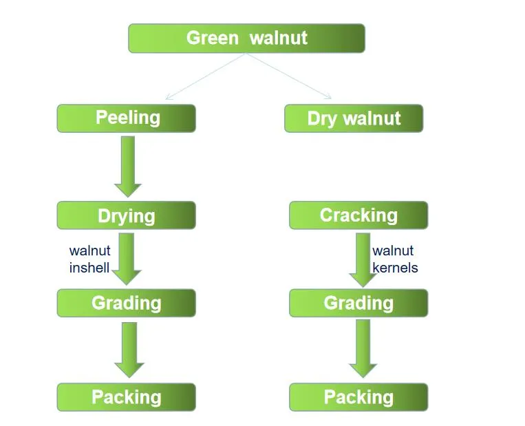Yunnan En Çok Satan Fabrika Toptan Kuruyemiş Ceviz Çekirdekleri Kabuksuz Ceviz