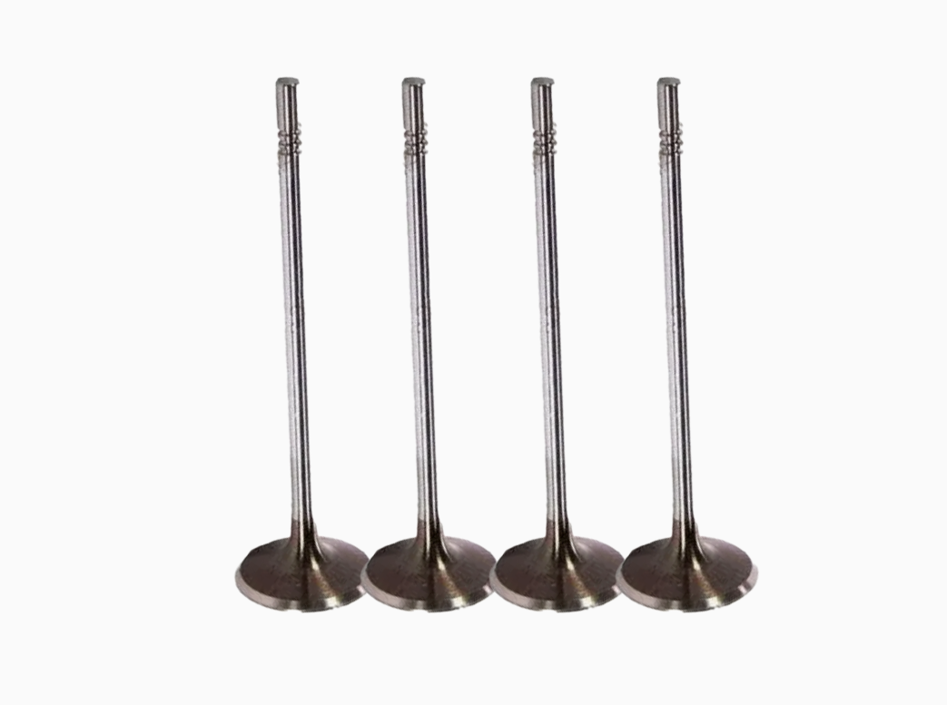 55557741 Intake Valve for Engine