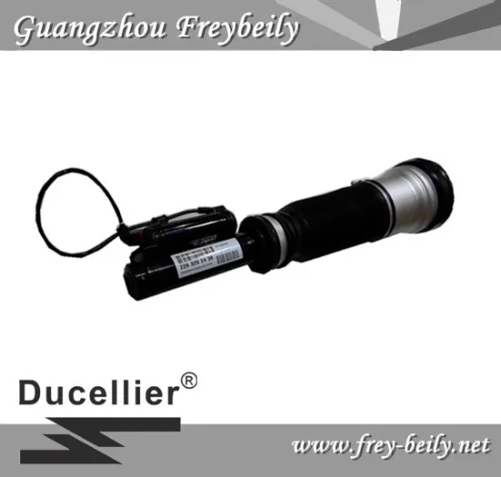 2203202438 Front Air Suspension Shock for Mercedes Benz W220