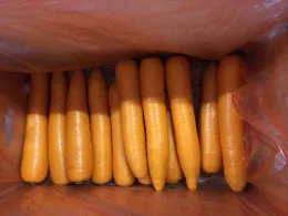 Fresh Xiamen Great Carrot