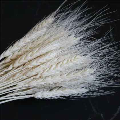 Pastoral Dried Wheat Flower Wreath - Home Decor & Event Occasion Use