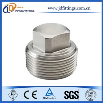 ASTM Thread Stainless Steel Pipe Nipple Square Plug