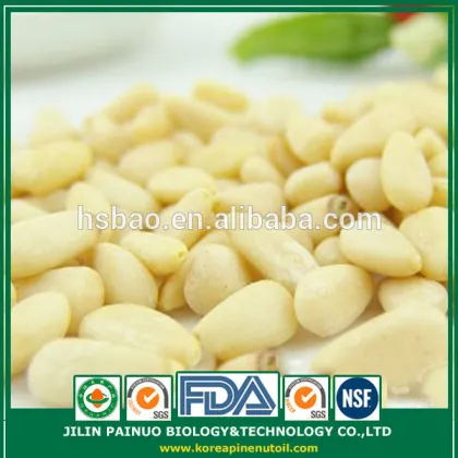 Bulk Factory Direct Confectionery Pine Nut Kernels for Snack Foods