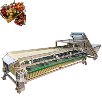 Hochwertige Obst- und Gemüse -Sortiermaschine: Olive Jujube Date Palm Lemon Erdbeer Blaubeer Areca Mangostan Sortierausrüstung