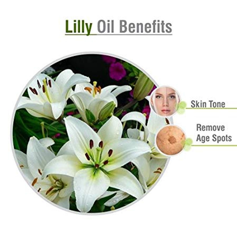 lily oil bulk