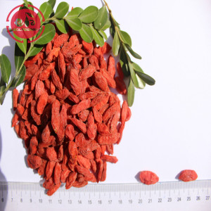 Superfood Melindungi Penglihatan Rendah pestisida Goji Berries