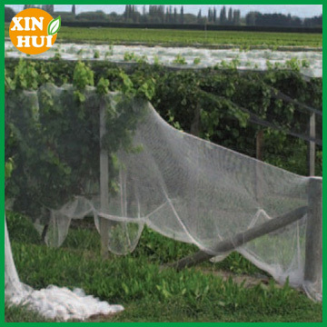 HDPE Agriclture greenhouse insect net