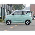 Wuling Mini EV新能源车辆