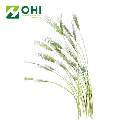 Barley Grass Juice Powder