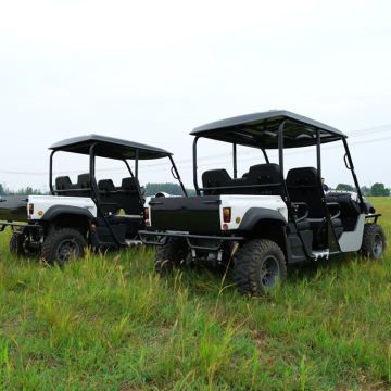 Manufacturer 4WD Electric UTV EEC for Activities
