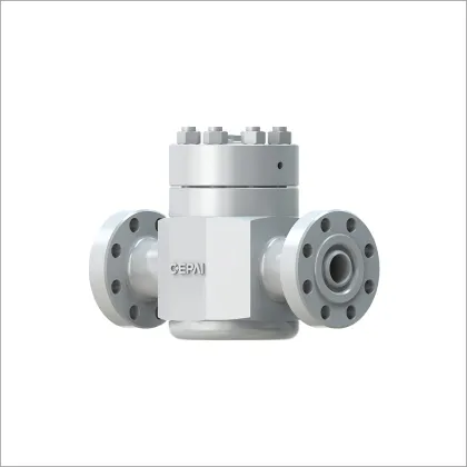Lift Check Valve