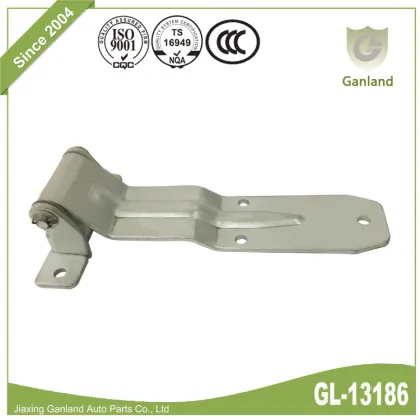 Swing Door Hinges Embossed Over The Seal Hinges