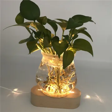 USB Wooden Base LED 3D Night Light - Warm White Round Oval Shape