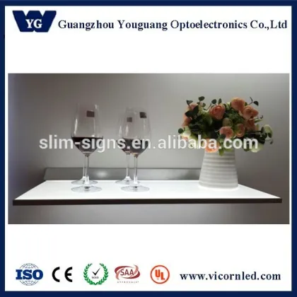 Double side Cabinet led lighting source led panel light