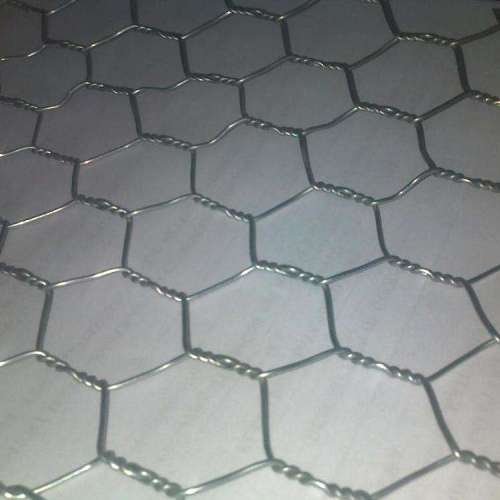 Malla de alambre hexagonal para granja de pollos