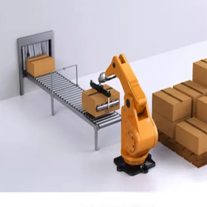Robot Palletizer Price - Robotic Palletizing Machinery for Packing Lines