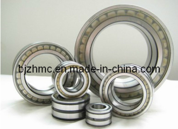 SKF Cylindrical Roller Bearings (NU203)