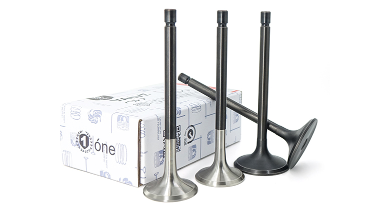 Engine Valves 
