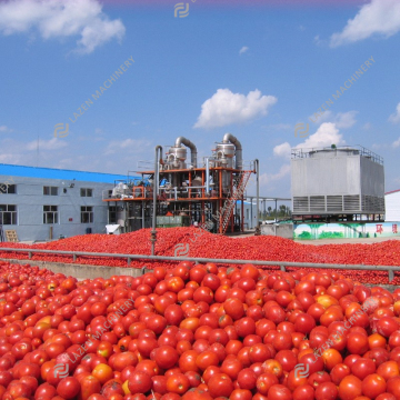 Conception d'équipe professionnelle pour le concentré de jus de tomate à haut rendement, la pulpe, le traitement des confitures et la fabrication de la production de machines
