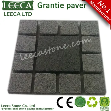 Garden path landscaping stone
