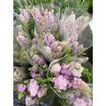 قطع طازجة من Sorbaria Sorbifolia باللون الوردي لتزيين الزفاف