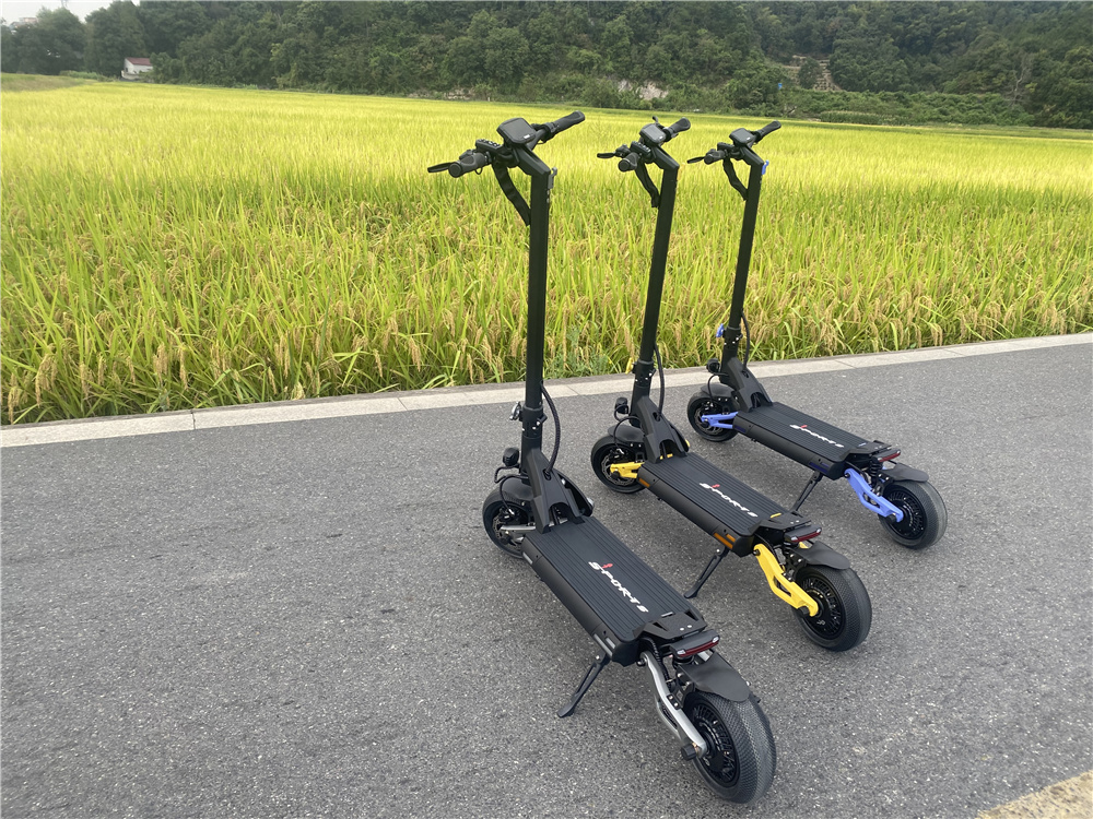 Offroad electric scooter (17)