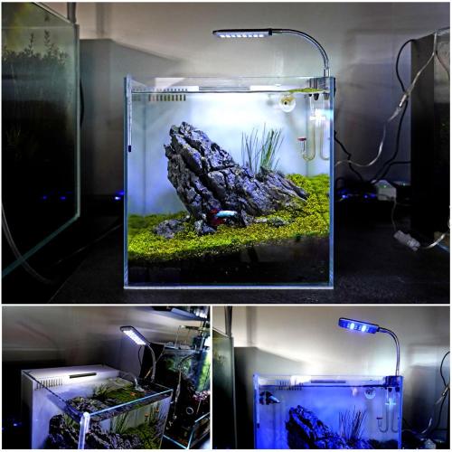 Freshwater Lighting Aquarium led lamps Metal spiral hose Manufactory