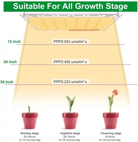 Quantum board Samsung LM301B 240W Indoor Grow Lights