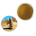 100% Natural Cistanche Tubulosa Extract Bulk