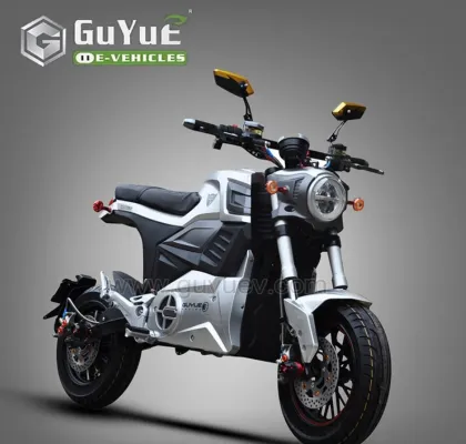 2 Seats Two Wheel Electric Motorcycle
