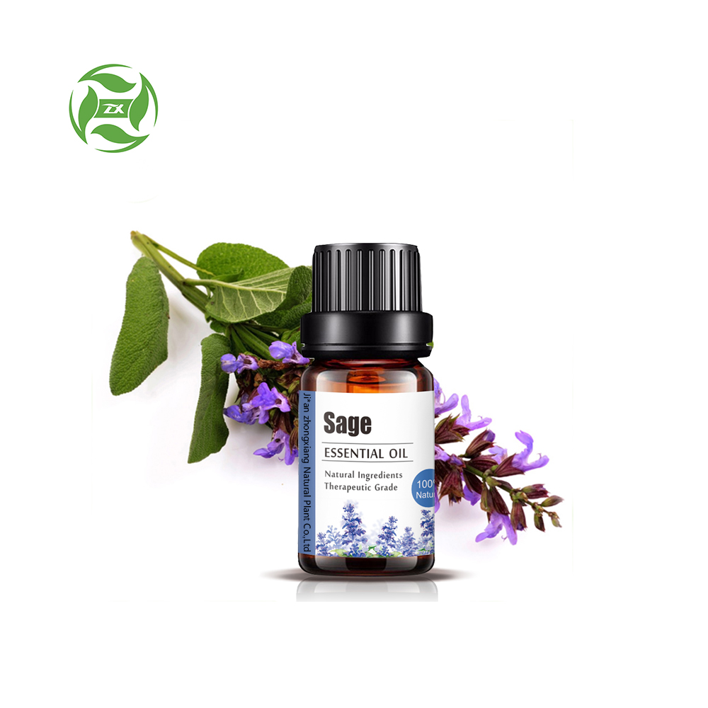 Factory Supply 100% Pure Sage oil Essential Oil bulk price