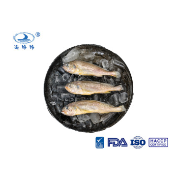 Frozen Small Yellow Croaker Small Yellow Croaker Skewers