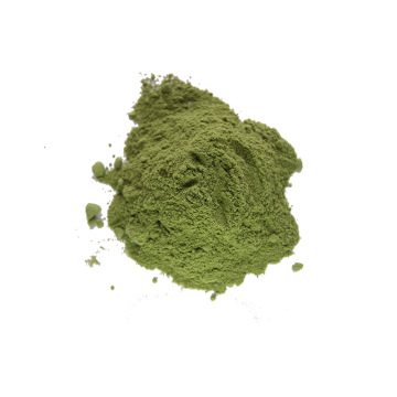 Wholesale bulk organic spinach powder