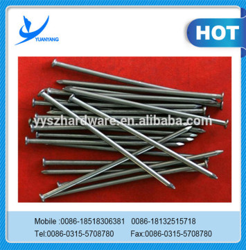 Good Price Of Common Iron Wire Nails